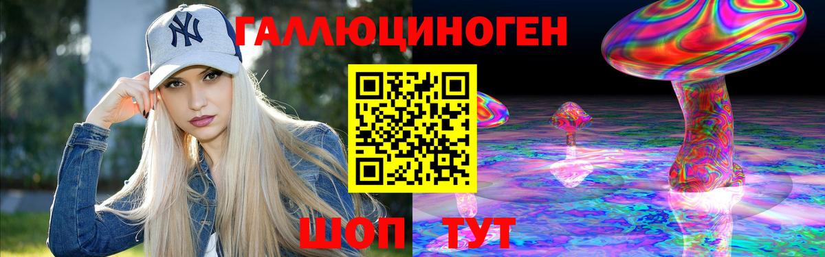 Курчалой  Галлюциногенные грибы мицелий  цены наркотик  Вход с VPN 
