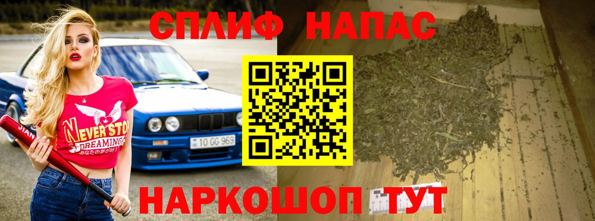 МАРИХУАНА сатива Курчалой